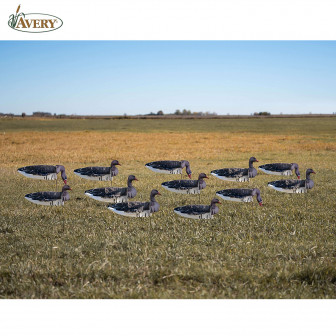 Avery GHG Pro-Grade Specklebelly Goose w/Painted Heads Windsock Decoys (Pk/12)