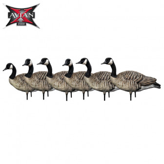 Avian-X AXP Full Body Honker Walkers (Pk/6)