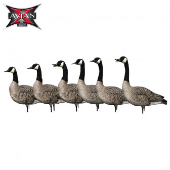 Avian-X AXP Full Body Honker Sentrys (Pk/6)