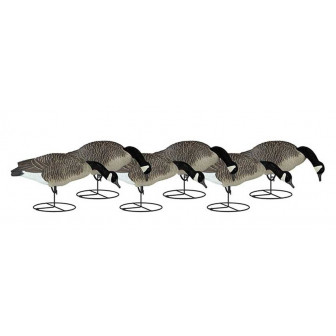 Dakota Decoy Canada Full Body Feeders (Pk/6)