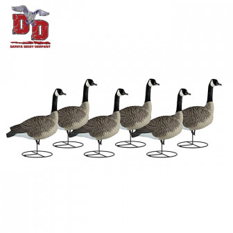 Dakota Decoy Canada Goose Sentry (Pk/6)