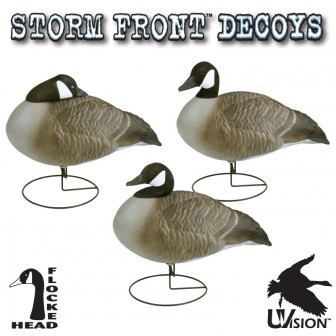 Storm Front Full Body Canada Goose Decoys Relaxed (Pk/4)