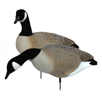 White Rock Canada Goose Collapsible Fullbody (Pk/6)