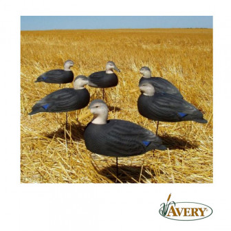 Avery* GHG Over-Size Black Duck Active Shell Decoys- Pack/12