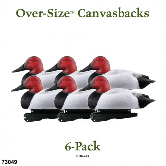 Avery GHG Over-Size Canvasback Decoys (Pk/6)