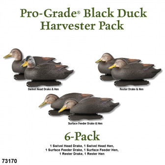 Avery GHG PG Black Duck Harvester Pack (Pk/6)