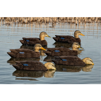 Avian-X Topflight Flocked Black Duck (Pk/6)