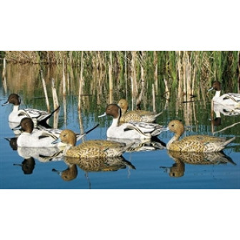 Dakota Decoy X-Treme Pintail Floaters (Pk/6)