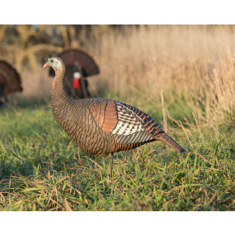 Avery GHG Upright Hen Decoy- Eastern (Single)