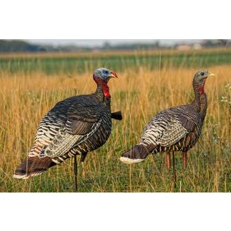 Avian-X LCD - Merriam Hen Lookout/Jake Turkey Decoy Comb